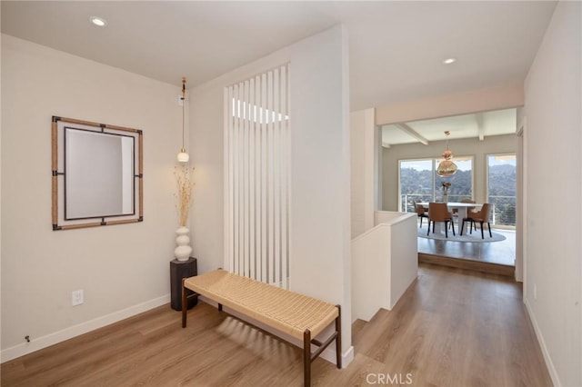 hall with baseboards, wood finished floors, and recessed lighting