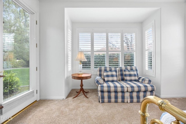 living area featuring light colored carpet and a healthy amount of sunlight