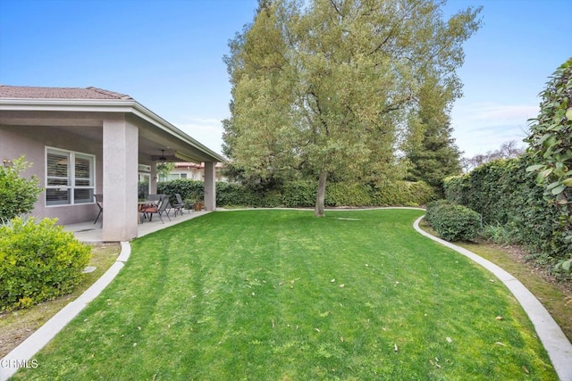 view of yard featuring ceiling fan and a patio area