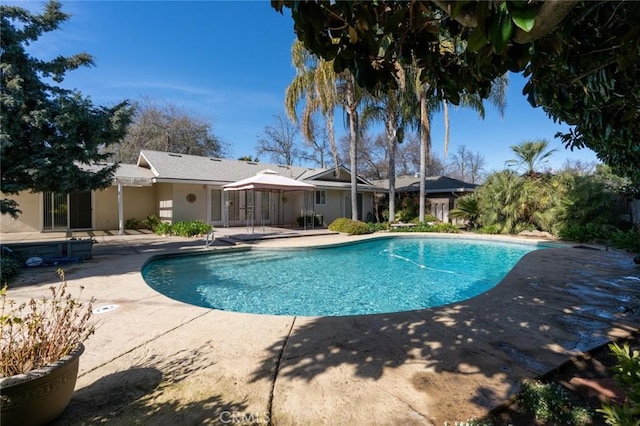 view of swimming pool featuring a patio area