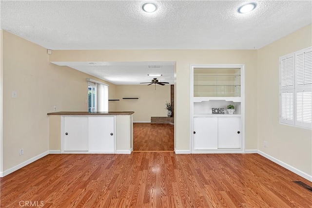 kitchen featuring ceiling fan, a healthy amount of sunlight, a textured ceiling, and light hardwood / wood-style floors