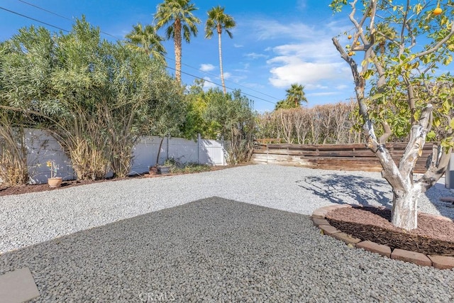 view of yard with a patio and a fenced backyard