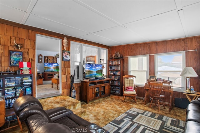 living room with wooden walls