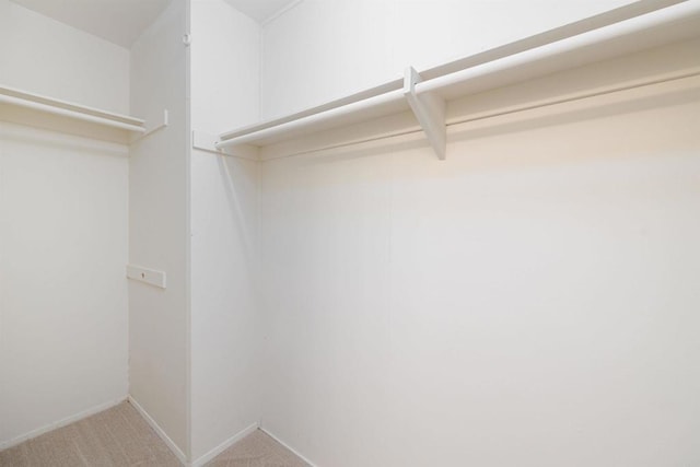 spacious closet with carpet floors