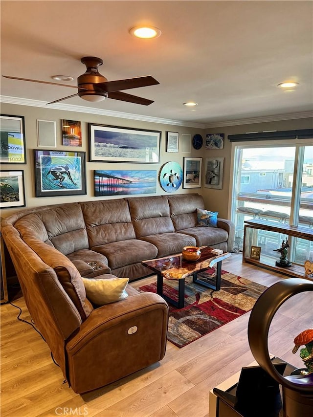 living room with crown molding, ceiling fan, and light hardwood / wood-style flooring