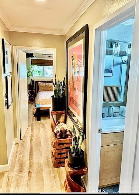 corridor featuring crown molding, a sink, and light wood finished floors