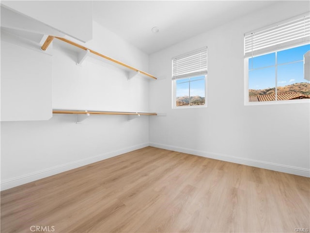 walk in closet featuring light hardwood / wood-style floors