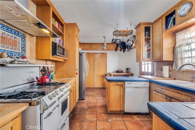 kitchen with a sink, stainless steel appliances, wall chimney range hood, and open shelves