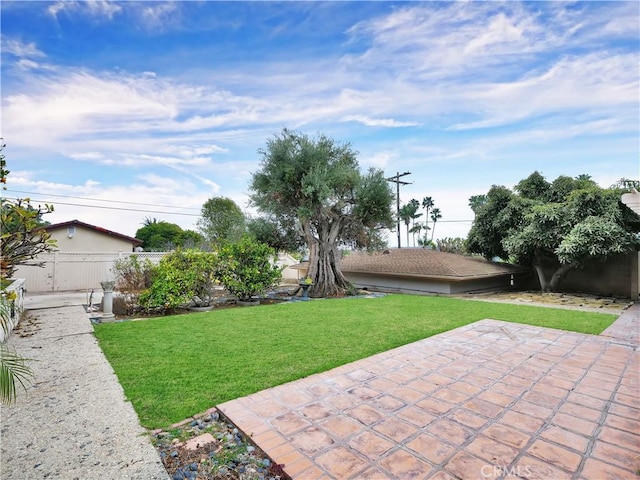 view of yard featuring a patio area