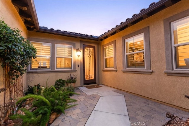 entrance to property with a patio and stucco siding