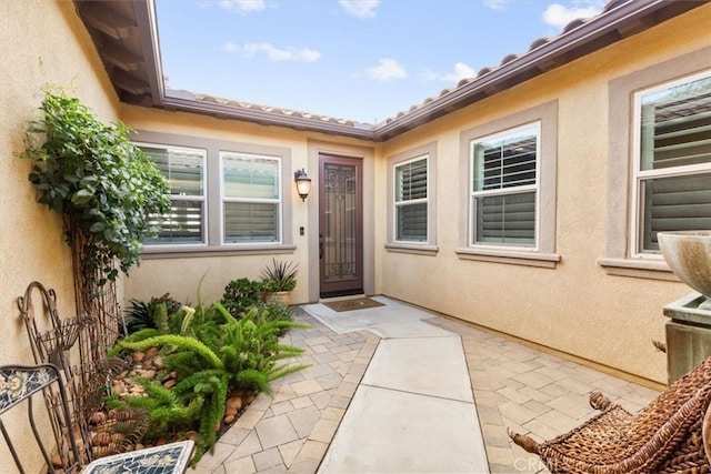 entrance to property with a patio area and stucco siding