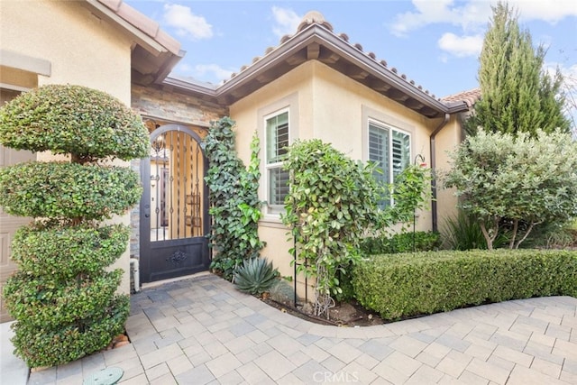 view of exterior entry featuring a gate and stucco siding