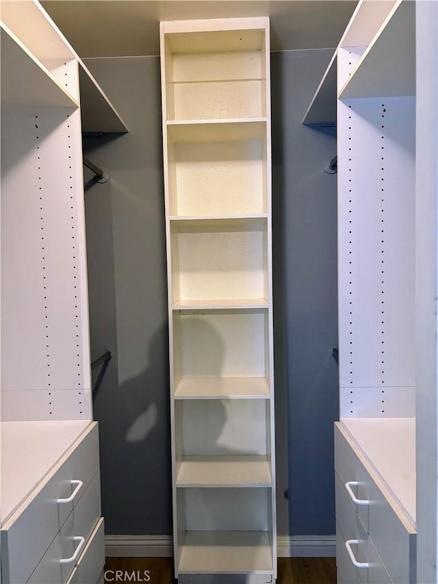 view of walk in closet