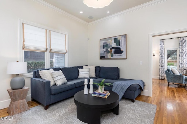 living room with ornamental molding and hardwood / wood-style floors