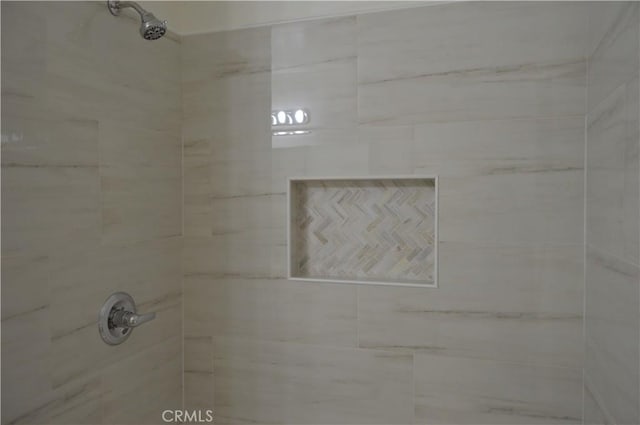 interior details with tiled shower