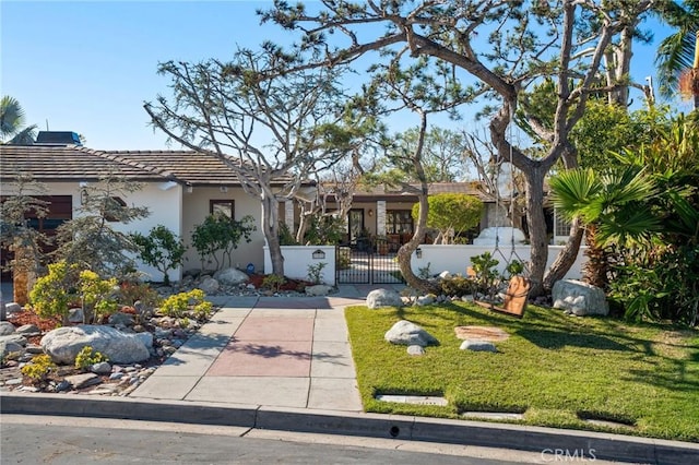 ranch-style house with a front lawn