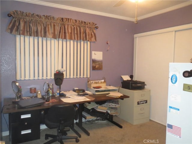 office area featuring carpet flooring and ornamental molding