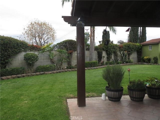 view of yard with a fenced backyard and a patio