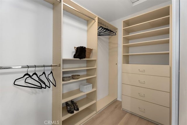 spacious closet with light hardwood / wood-style floors