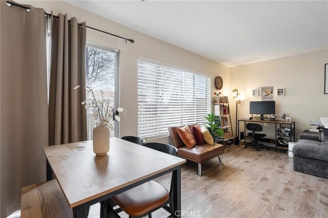 interior space with light wood finished floors and a wealth of natural light