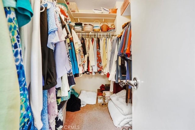 1308 Pleasant Valley Ave, Banning, CA 92220 - walk in closet with carpet floors