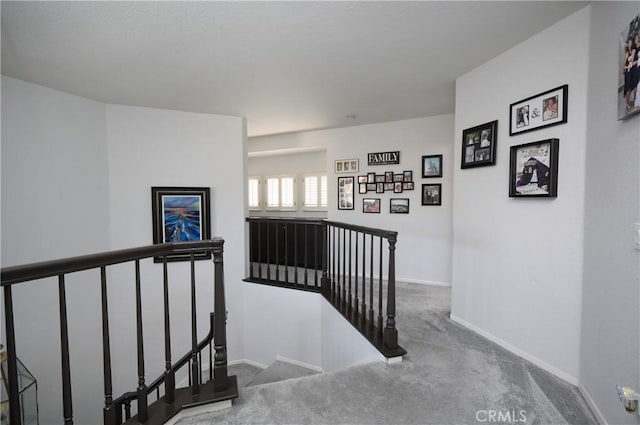 stairway with carpet floors