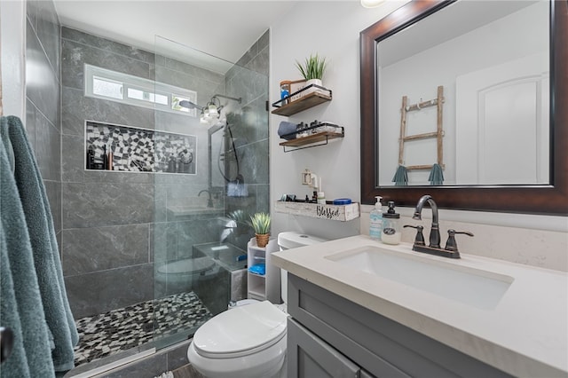 bathroom with vanity, walk in shower, and toilet