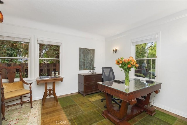 office featuring dark hardwood / wood-style floors