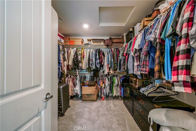 walk in closet featuring carpet floors and attic access