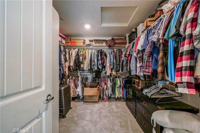 3554 Twinberry Ln, San Bernardino, CA 92407 - spacious closet featuring attic access and carpet floors