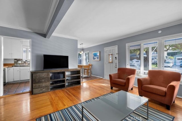 living room featuring ornamental molding and light hardwood / wood-style flooring