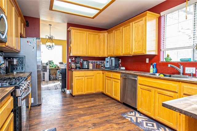 kitchen with dark wood finished floors, a chandelier, pendant lighting, stainless steel appliances, and a sink