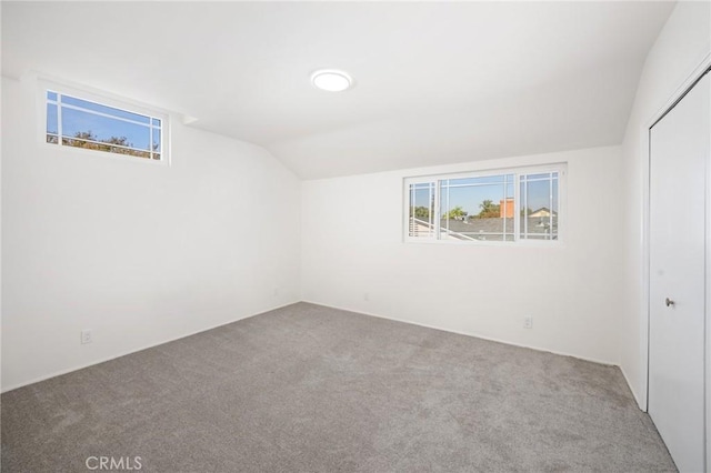 bonus room featuring vaulted ceiling and carpet