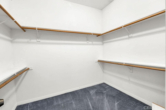spacious closet with dark carpet