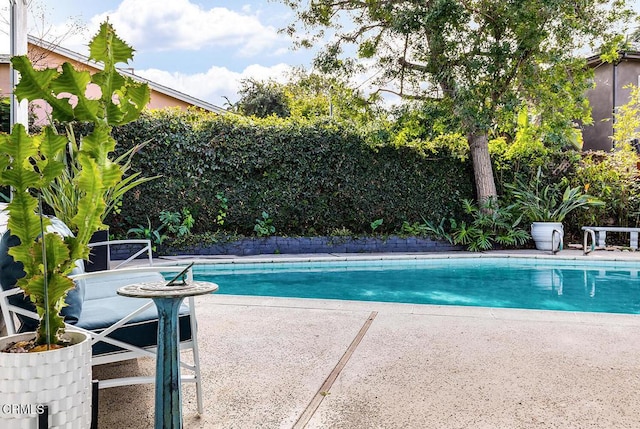 view of pool with a patio area