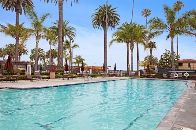 view of pool with a patio area