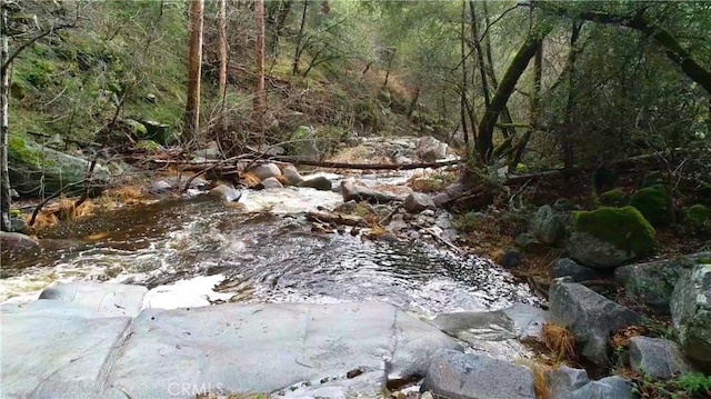 view of local wilderness