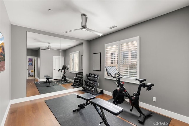 workout room featuring hardwood / wood-style floors and ceiling fan