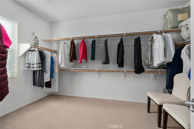 walk in closet with light colored carpet