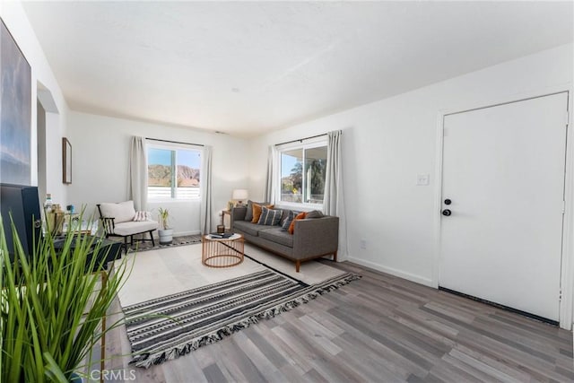 living room with wood-type flooring