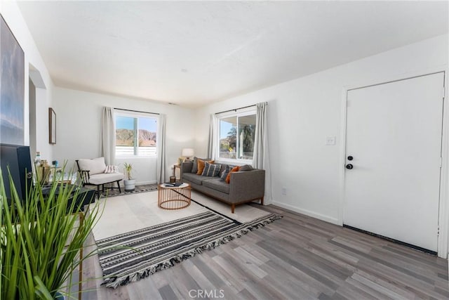 49568 Senilis Ave, Morongo Valley, CA 92256 - photo 6