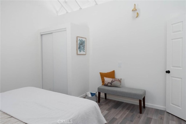 bedroom featuring hardwood / wood-style floors and a closet