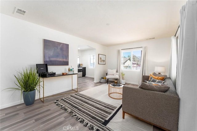 living room with hardwood / wood-style floors