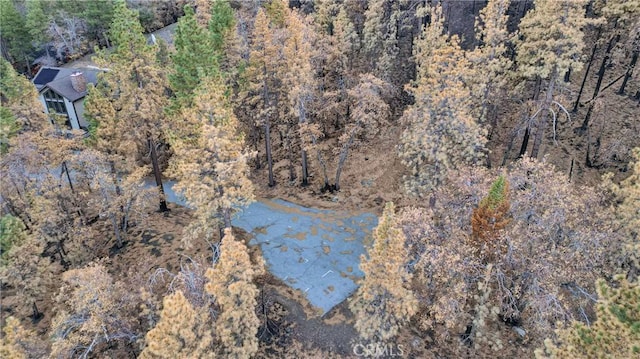 0 Logwood Dr, Wrightwood, CA 92397