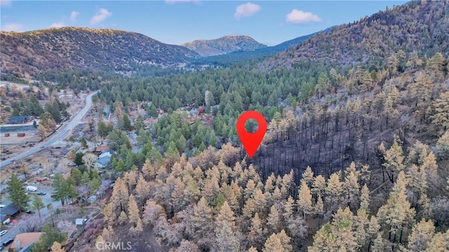 0 Logwood Dr, Wrightwood, CA 92397