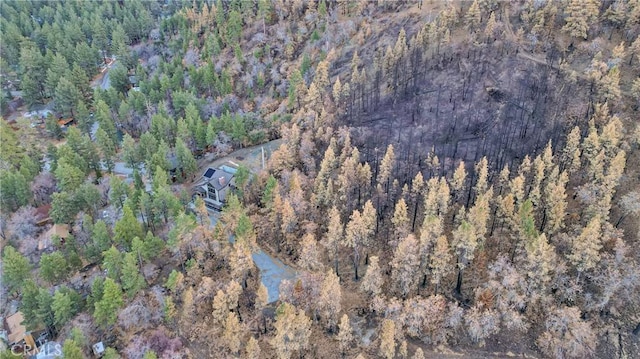 0 Logwood Dr, Wrightwood, CA 92397