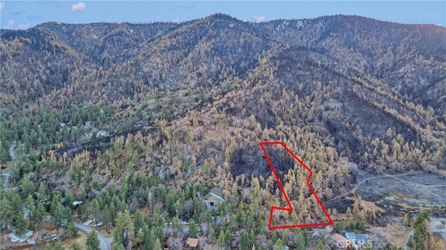 0 Logwood Dr, Wrightwood, CA 92397