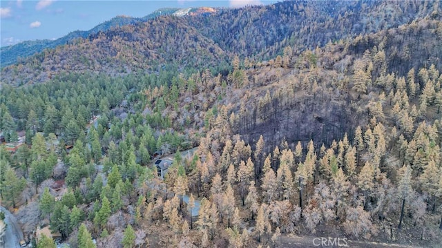 0 Logwood Dr, Wrightwood, CA 92397