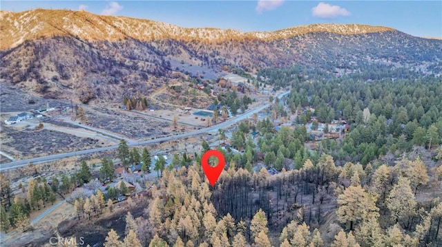 0 Logwood Dr, Wrightwood, CA 92397