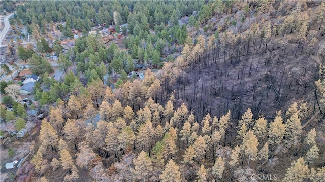 0 Logwood Dr, Wrightwood, CA 92397
